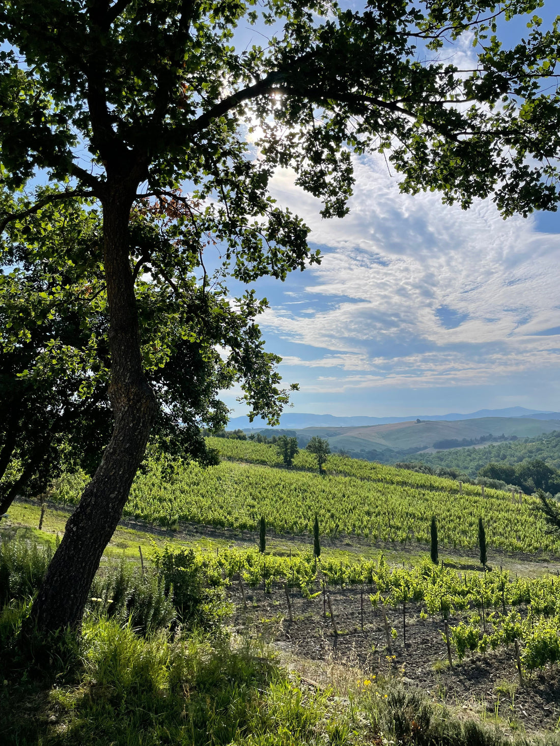 La Nascosta, Down a winding, rocky road you will find...