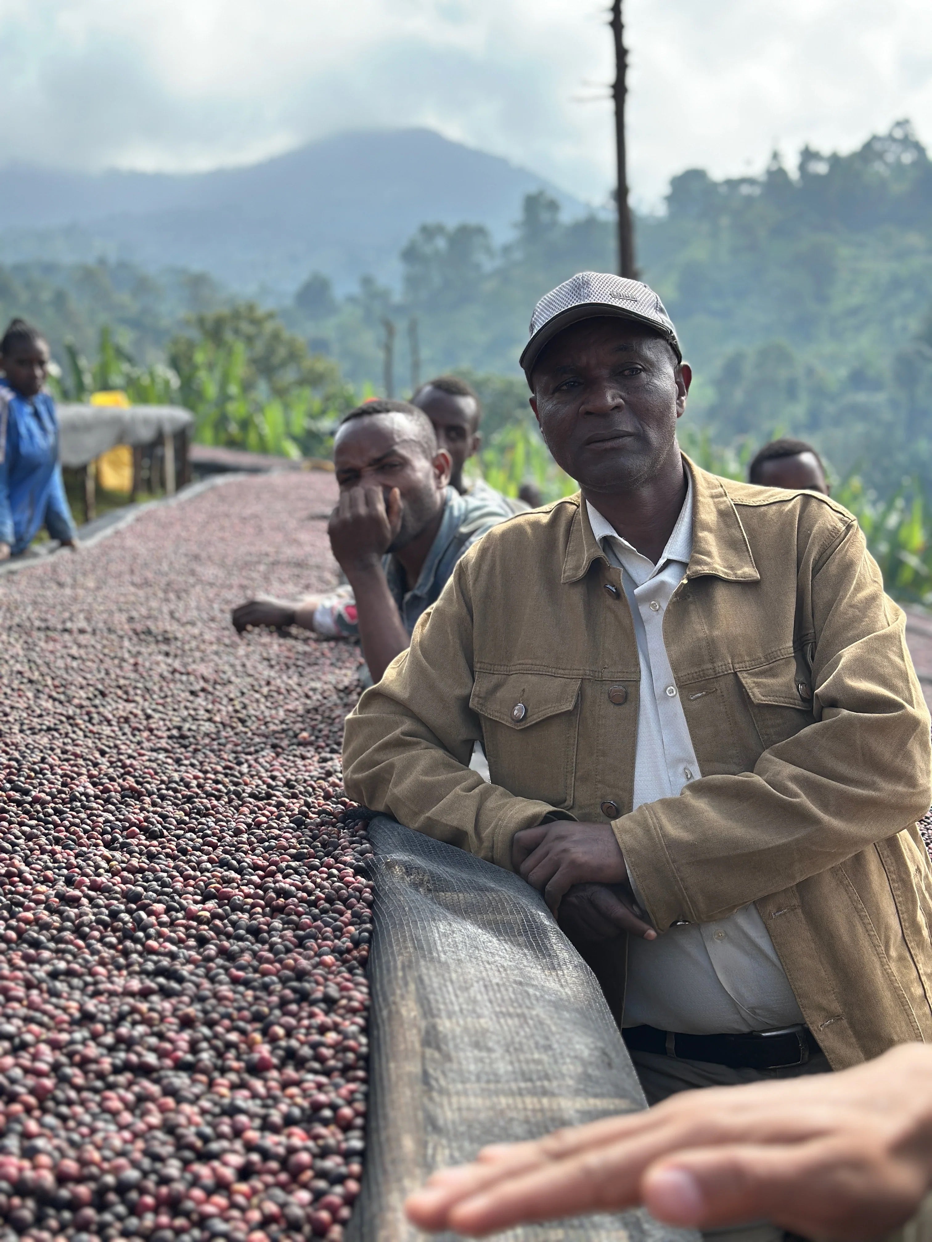 Coffee Collective, Bekele Natural Filter Coffee