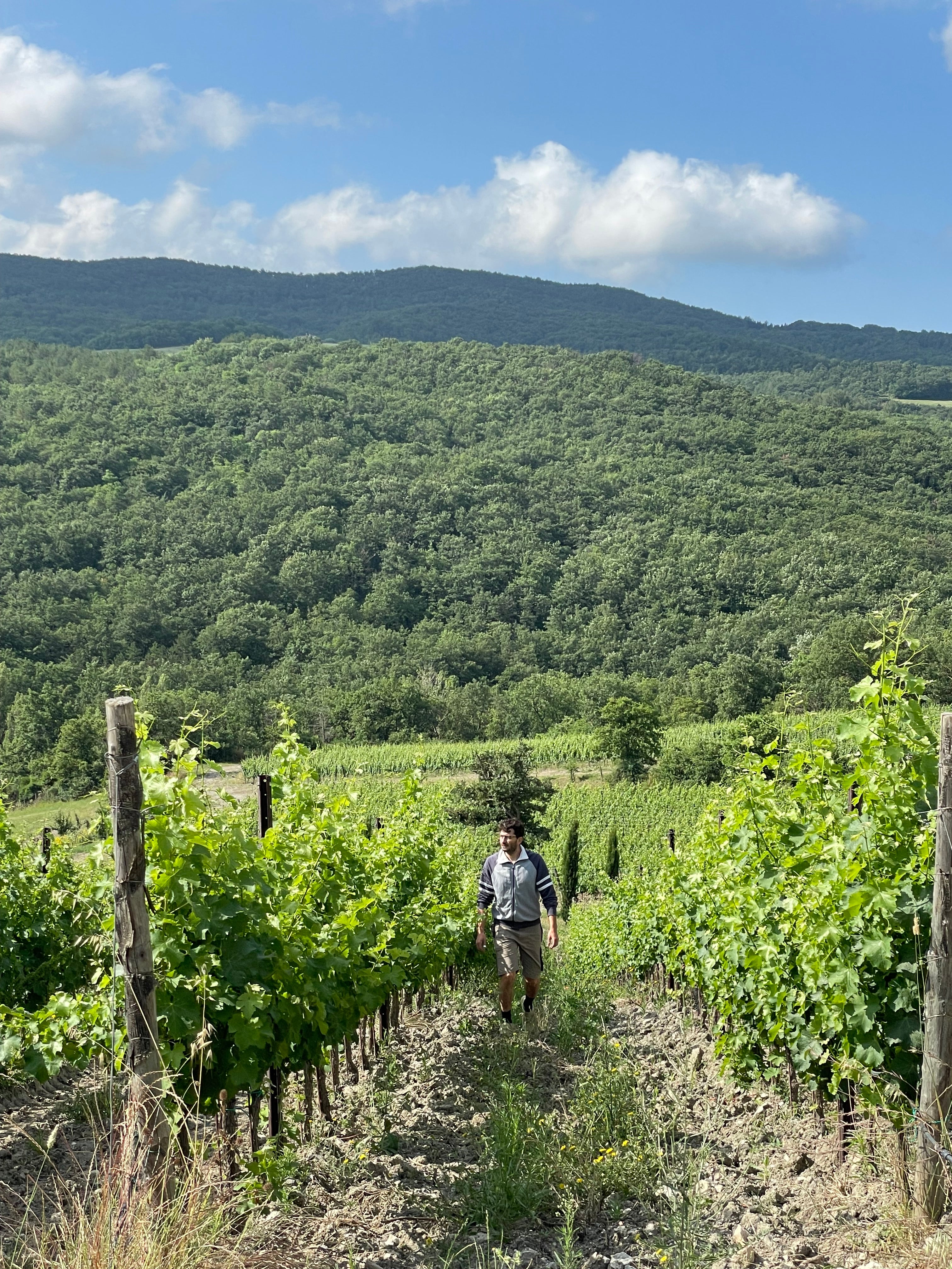 La Nascosta, Macchialuna
