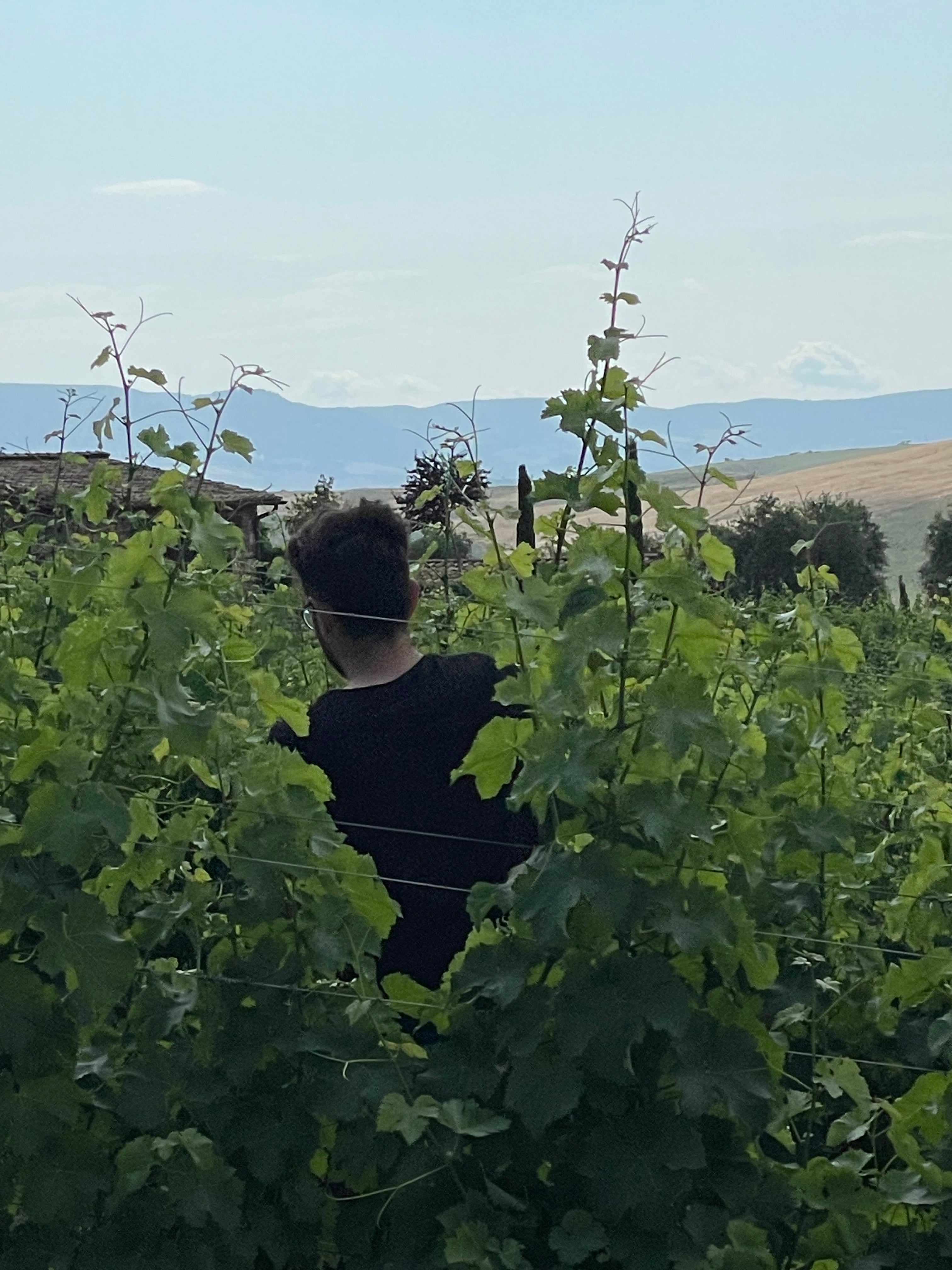 La Nascosta, Macchialuna